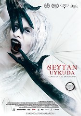 ŞEYTAN UYKUDA